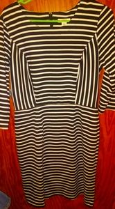 Cato Dress Size 8